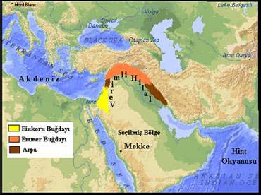 (Resim-31)