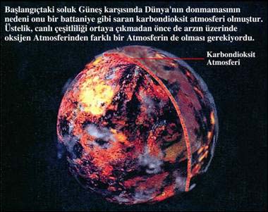 (Resim-21)