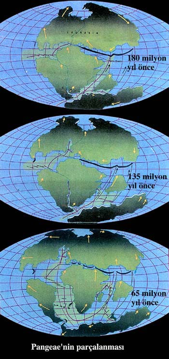 (Resim-40)